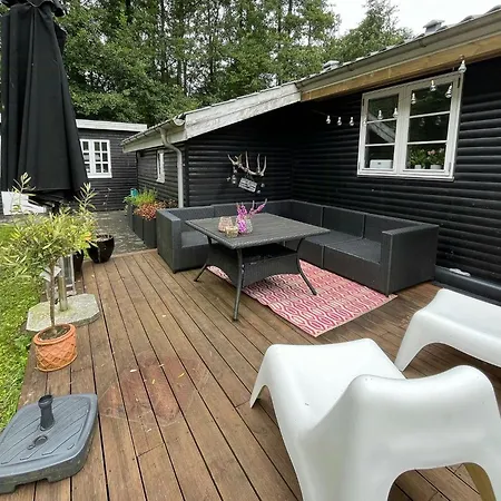 In Sandersvig Delight Filled With Colours Haderslev